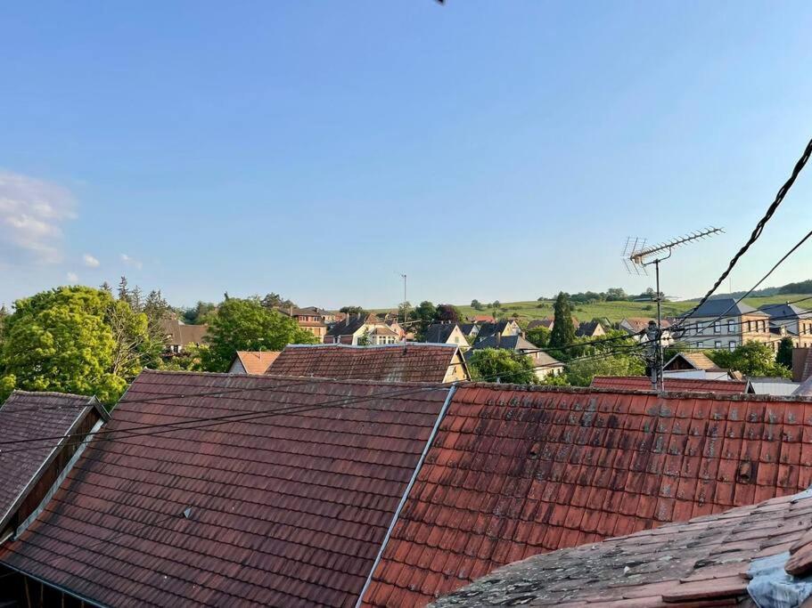 Apartamento L'Eden Du Vignoble - Centre Historique De Barr Exterior foto